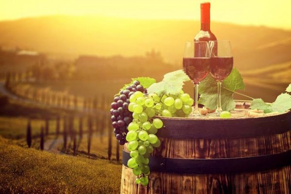 Tìm hiểu về rượu vang : Các kiến thức về rượu vang