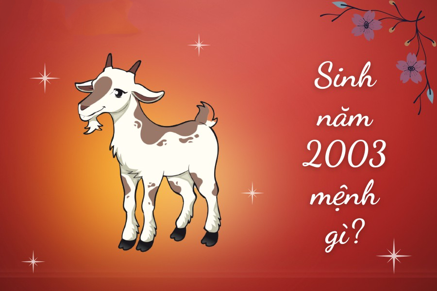 Nữ 2003 hợp với tuổi nào 2